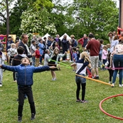 Animation et initiation cirque
