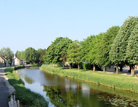 Bord du canal d'Orléans à Fay-aux-Loges